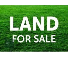 Plot of land for sale in Naccache  with a hotel license 1418m